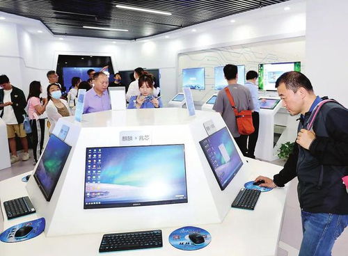 種好梧桐樹，引得鳳凰來 以軟件開發與信息技術咨詢服務為核心，打造總部經濟新高地