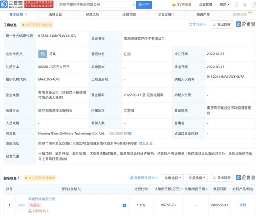 軟件開發與信息技術咨詢服務 驅動數字化轉型的雙引擎